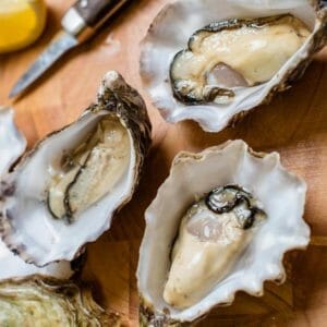 oysters