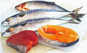 salmon sardines anchovies