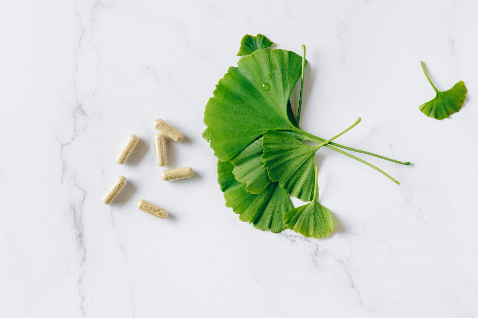 food supplement